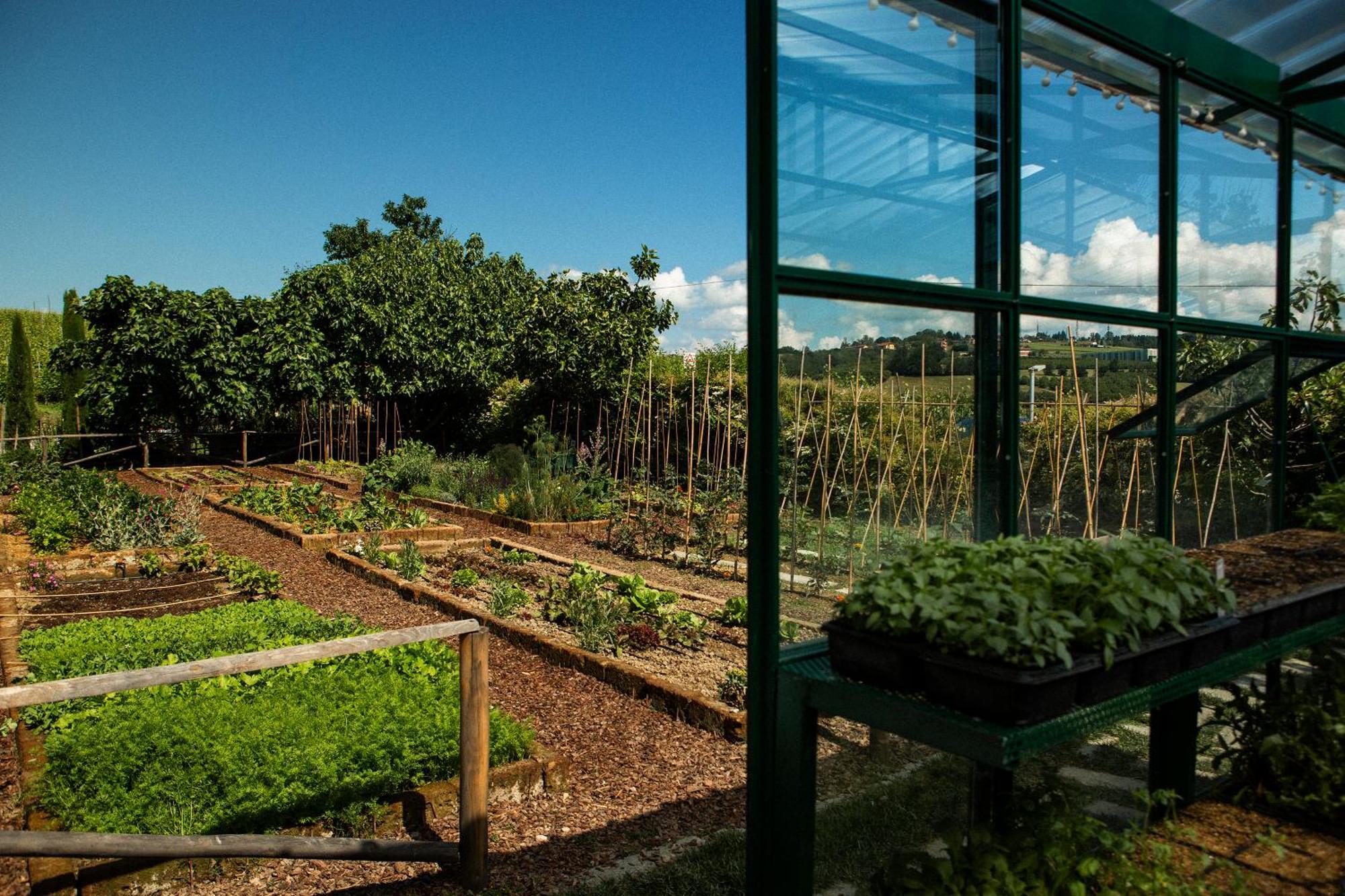 Coltivare Agrirelais La Morra Εξωτερικό φωτογραφία